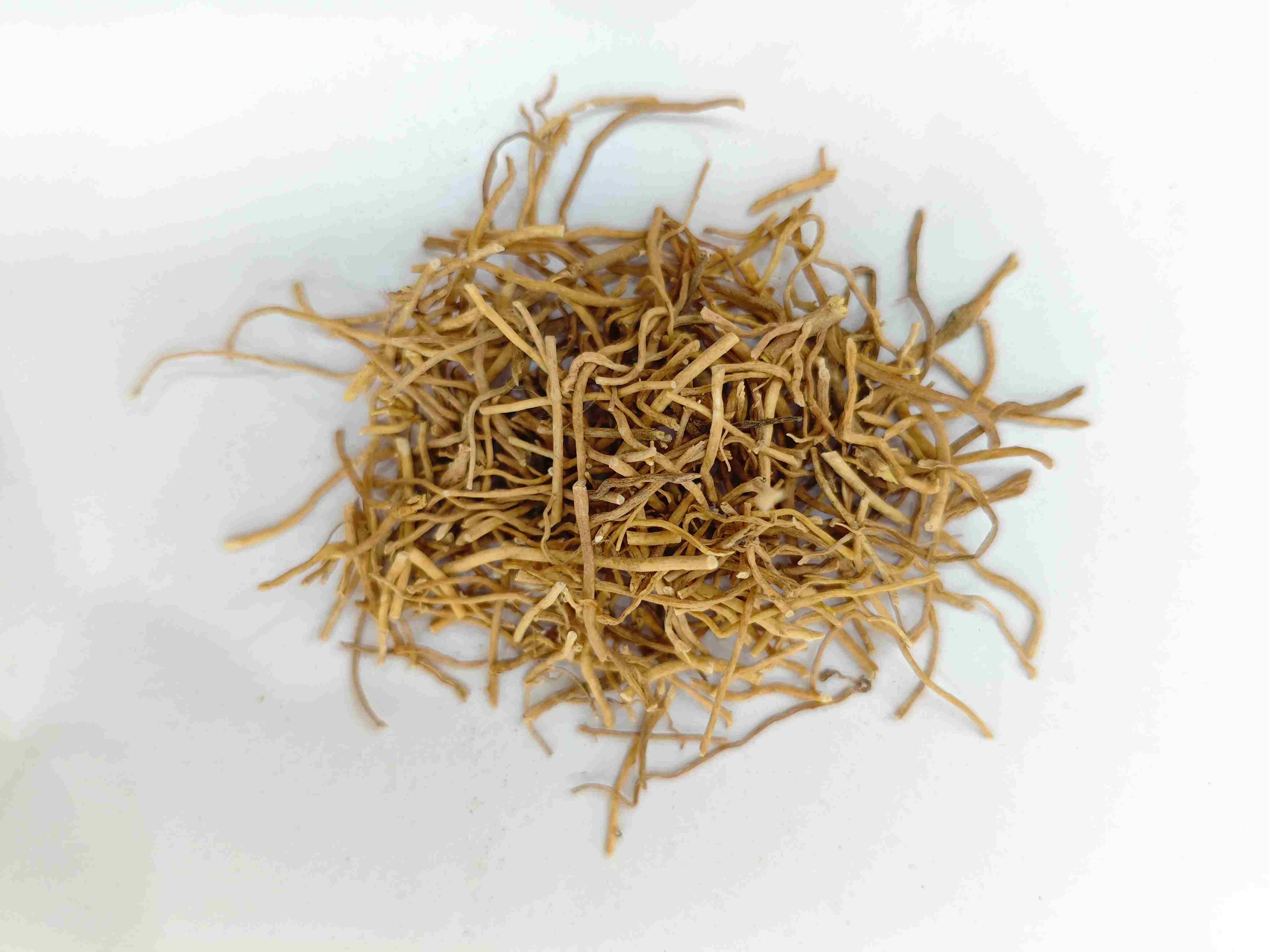 Herba Diplopanthis (Xú Cháng Qīng)