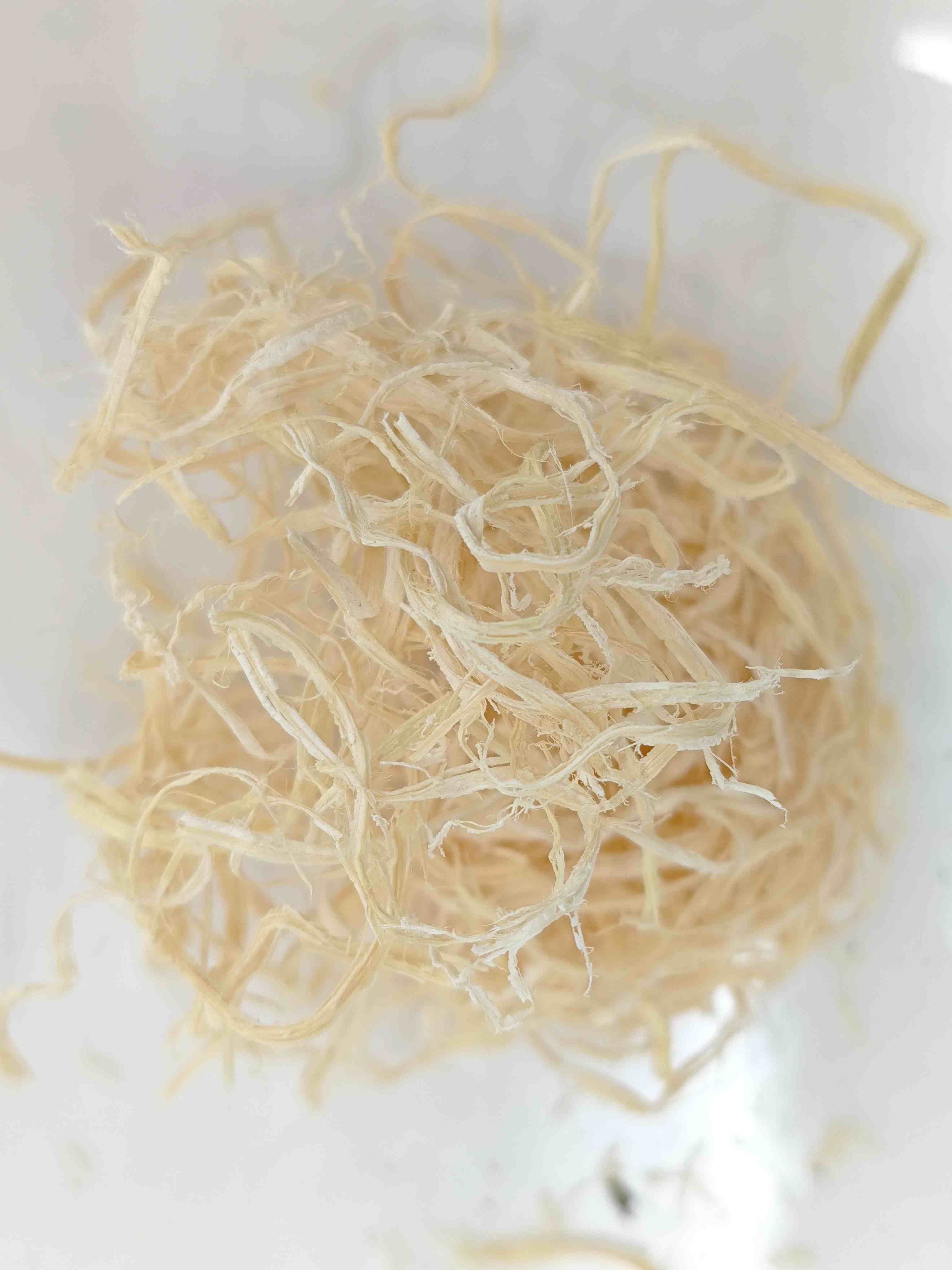 Bambu Pith (Zhú Rú)