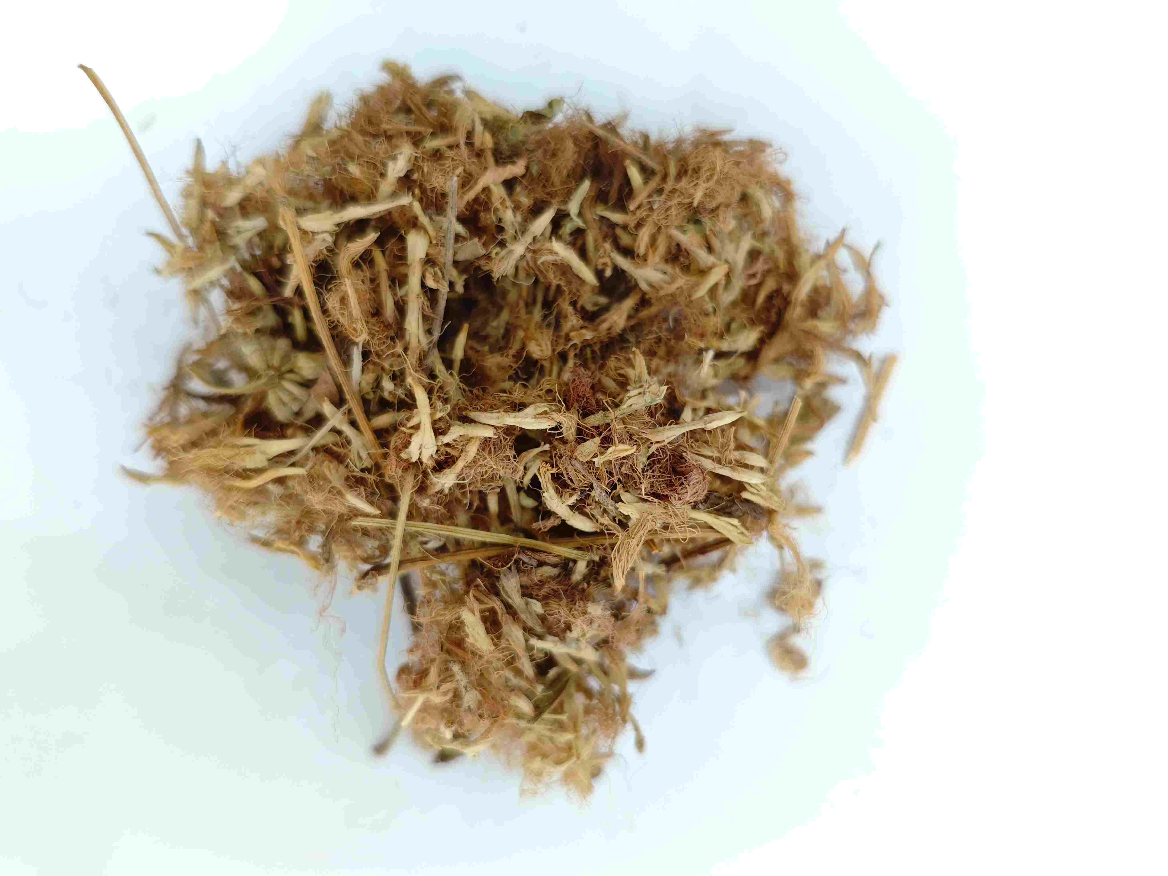 Bunga pohon sutra (héhuān huā)