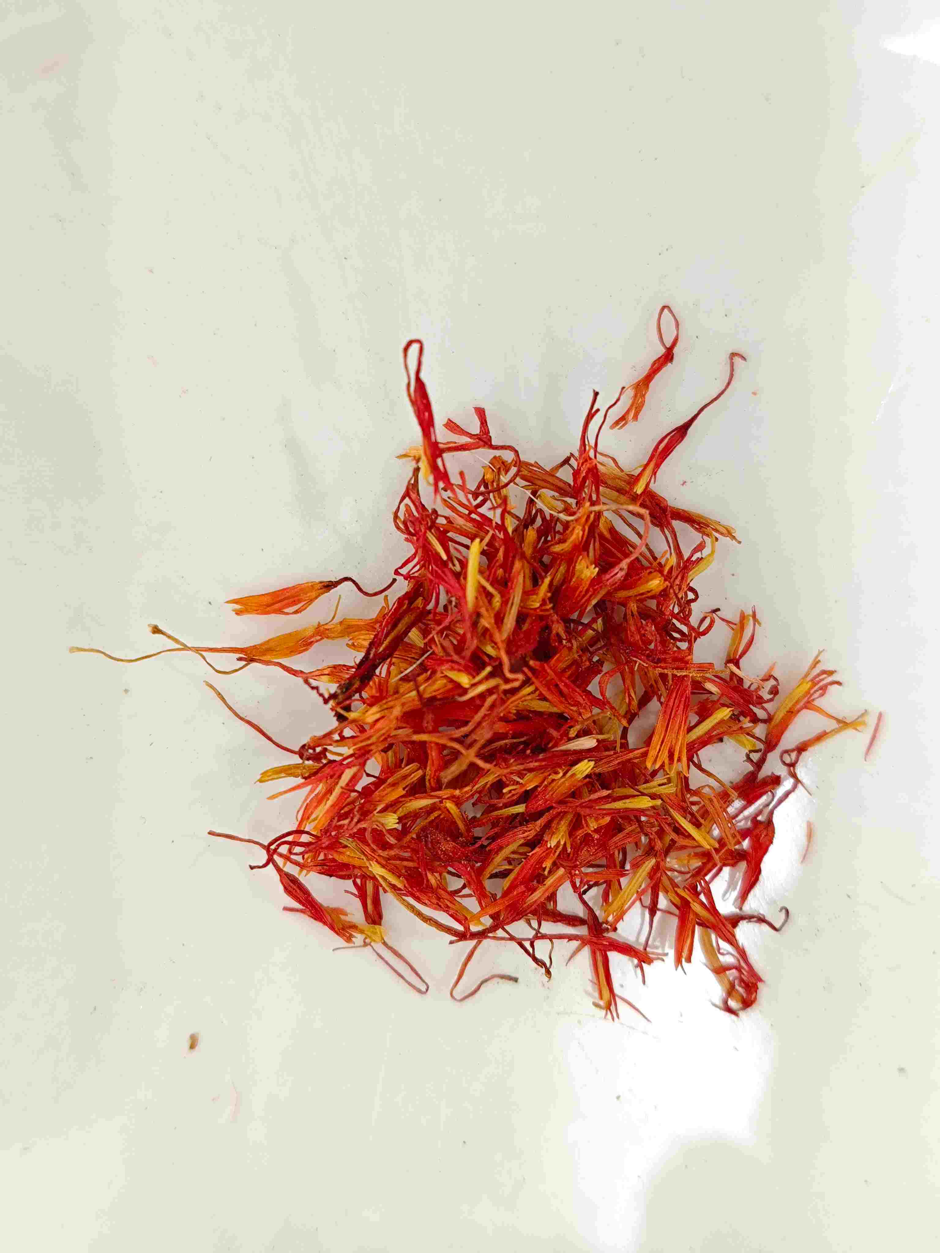 Safflower (hónghuā)