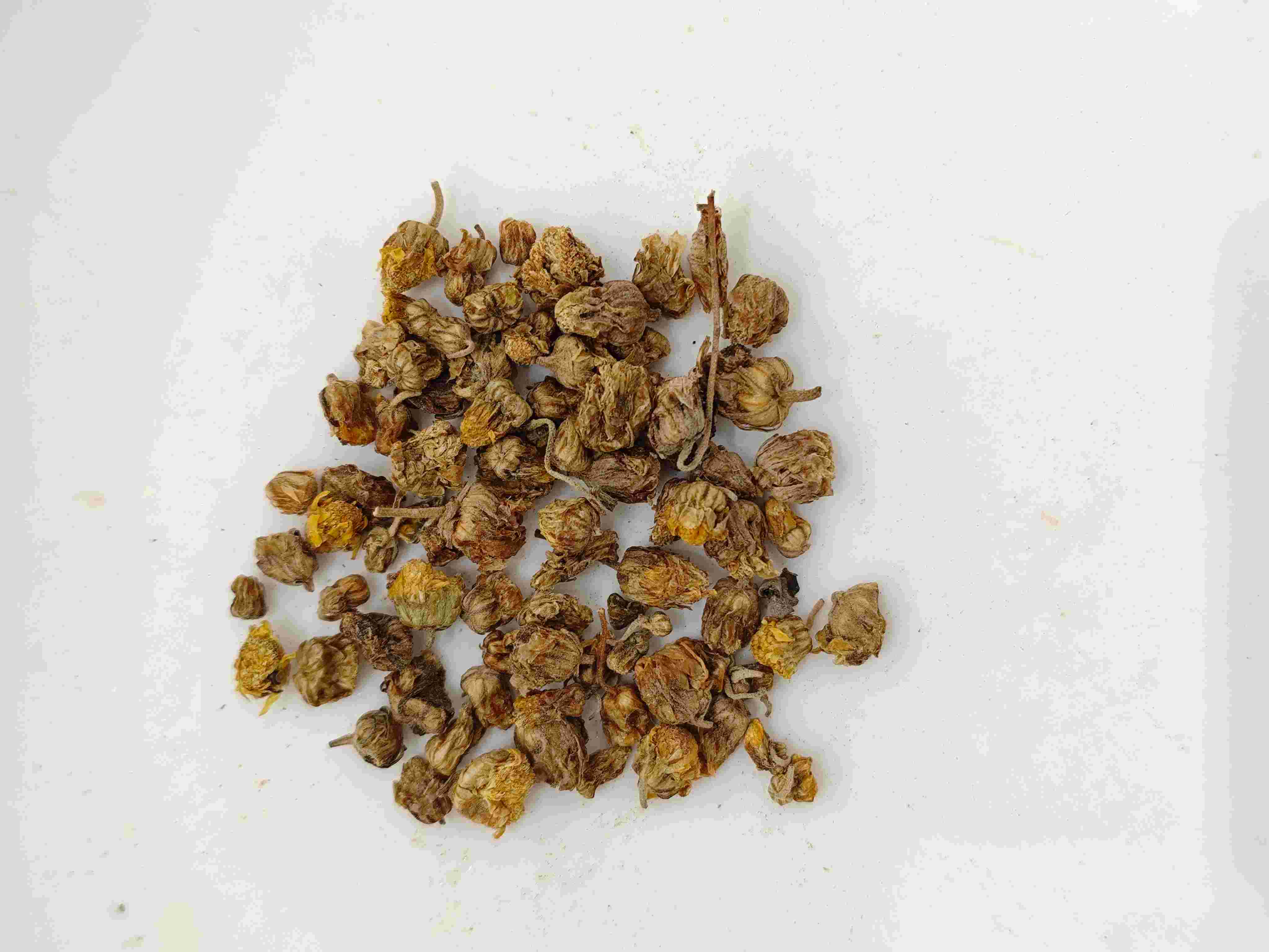 Chrysanthemum liar (yě jú huā)