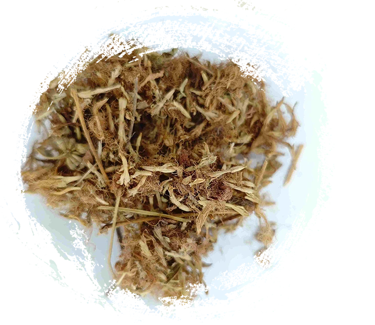 Bunga pohon sutra (héhuān huā)