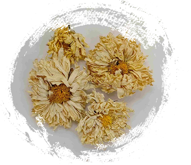 Bagaimana Tumbuhan Memainkan Peran Penting dalam Pengobatan Tradisional Tiongkok