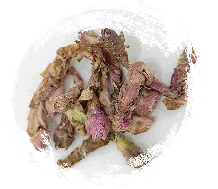 WinterHelmet Flower (Kuǎndōng Huā)