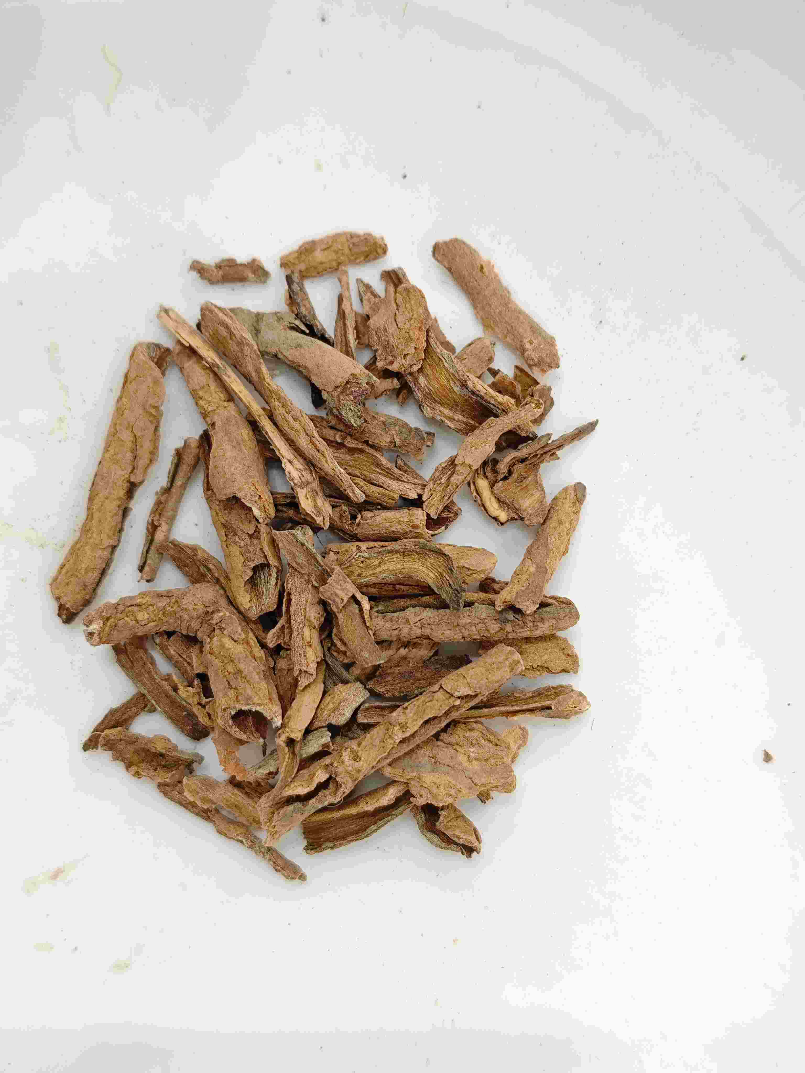 Lycium Root Bark (Dìgǔpí)