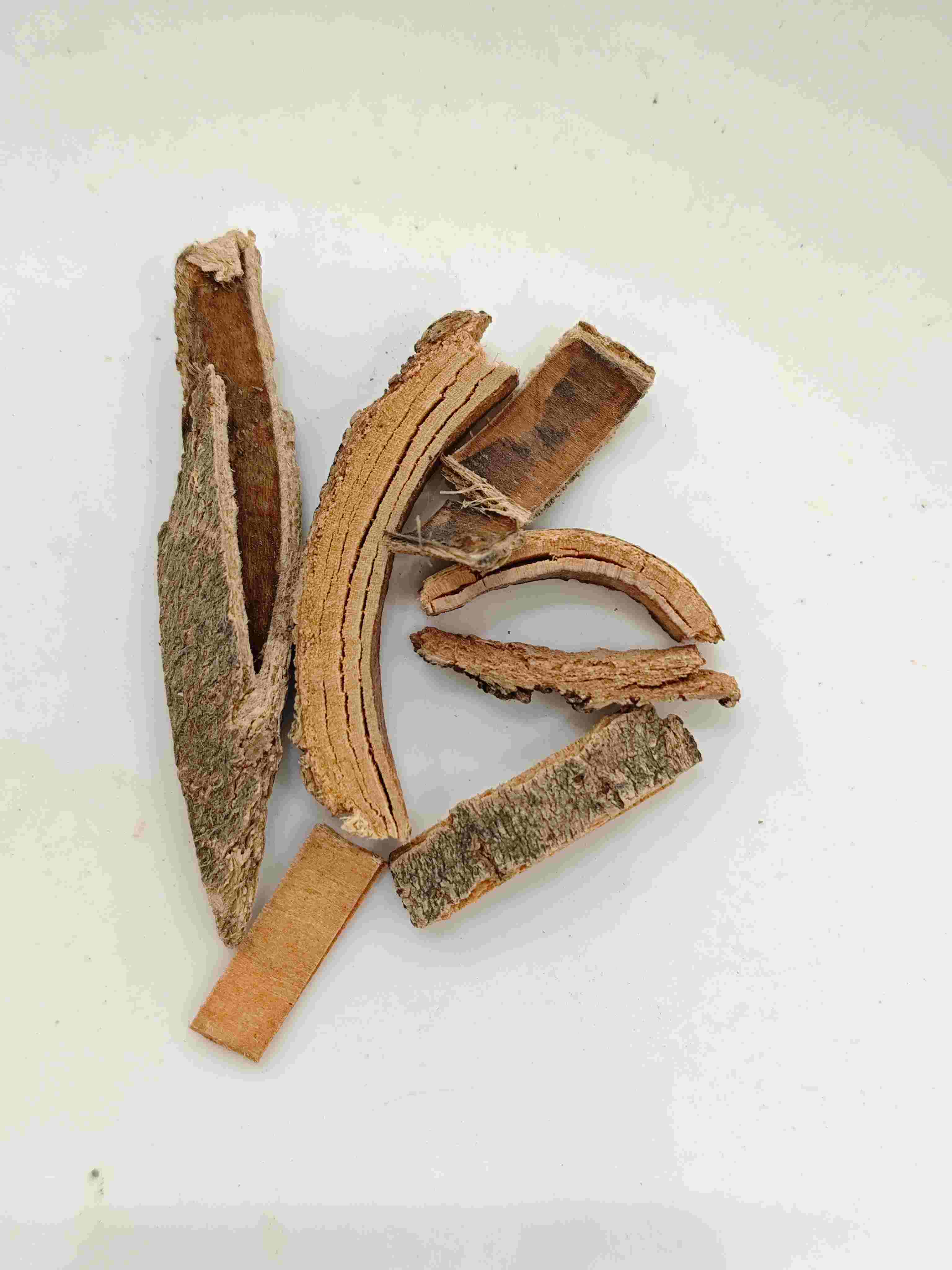 Kulit abu Cina (Qín Pí)