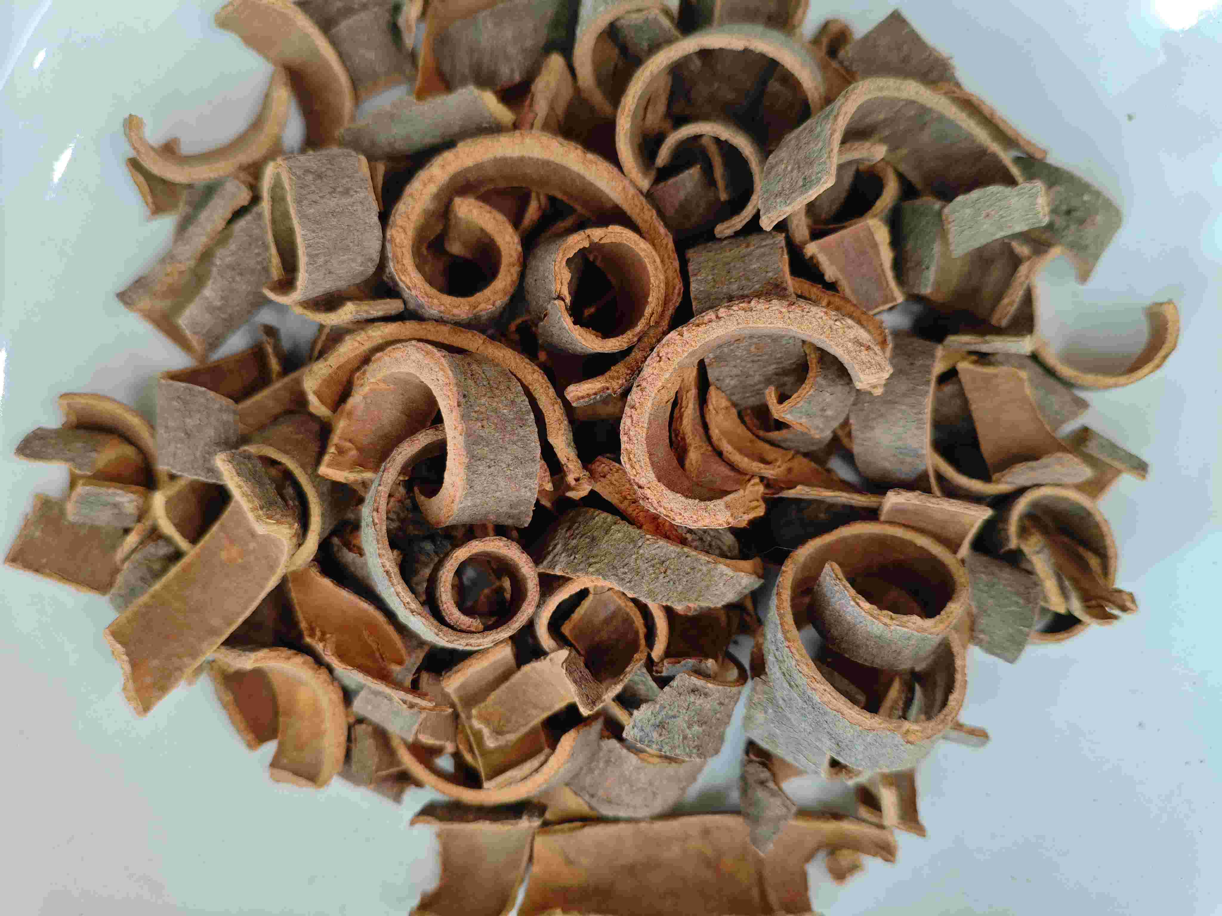 Kulit kayu manis (ròuguì)