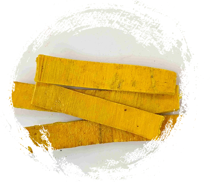 Kulit phellodendron (huángbò)