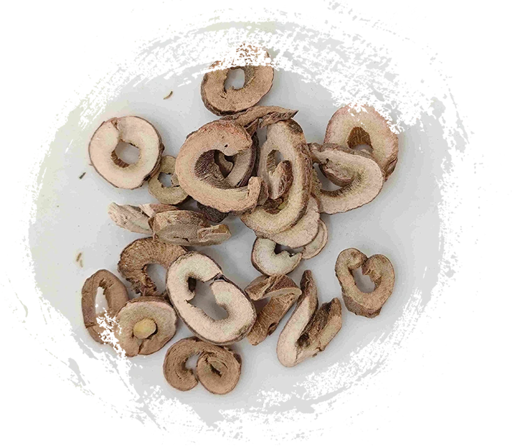 Kulit pohon peony (mǔdān pí)