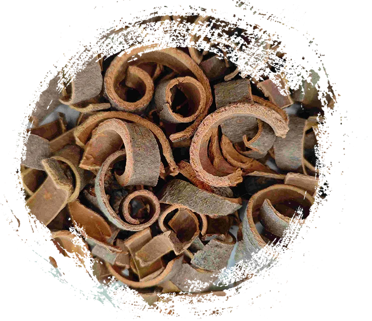 Khasiat dan Fitur Penyembuhan Utama Tanaman Herbal TCM