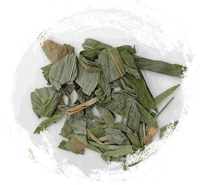 Daun Bambu Cahaya (Dànzhú Yè)