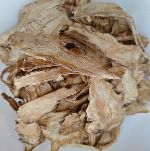 Fitur Utama Dong Quai dan Perannya dalam Pengobatan Herbal Tiongkok
